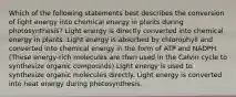 Which of the following statements best describes the conversion of light energy into chemical energy in plants during photosynthesis? Light energy is directly converted into chemical energy in plants. Light energy is absorbed by chlorophyll and converted into chemical energy in the form of ATP and NADPH. (These energy-rich molecules are then used in the Calvin cycle to synthesize organic compounds) Light energy is used to synthesize organic molecules directly. Light energy is converted into heat energy during photosynthesis.