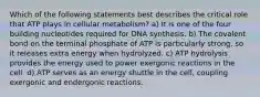 Which of the following statements best describes the critical role that ATP plays in cellular metabolism? a) It is one of the four building nucleotides required for DNA synthesis. b) The covalent bond on the terminal phosphate of ATP is particularly strong, so it releases extra energy when hydrolyzed. c) ATP hydrolysis provides the energy used to power exergonic reactions in the cell. d) ATP serves as an energy shuttle in the cell, coupling exergonic and endergonic reactions.