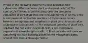 Which of the following statements best describes how cytokinesis differs between plant and animal cells? a) The contractile filaments found in plant cells are structures composed of carbohydrates; the cleavage furrow in animal cells is composed of contractile proteins. b) Cytokinesis occurs between metaphase and anaphase in plant cells; it occurs after anaphase in animal cells. c) The structural proteins of plant cells separate the two cells; in animal cells, a cell membrane separates the two daughter cells. d) Plant cells deposit vesicles containing cell wall building blocks on the metaphase plate; animal cells form a cleavage furrow.