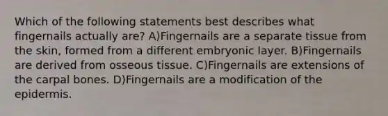 Which of the following statements best describes what fingernails actually are? A)Fingernails are a separate tissue from the skin, formed from a different embryonic layer. B)Fingernails are derived from osseous tissue. C)Fingernails are extensions of the carpal bones. D)Fingernails are a modification of the epidermis.