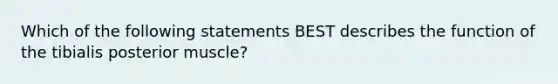 Which of the following statements BEST describes the function of the tibialis posterior muscle?