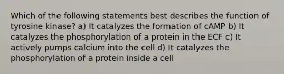 Which of the following statements best describes the function of tyrosine kinase? a) It catalyzes the formation of cAMP b) It catalyzes the phosphorylation of a protein in the ECF c) It actively pumps calcium into the cell d) It catalyzes the phosphorylation of a protein inside a cell