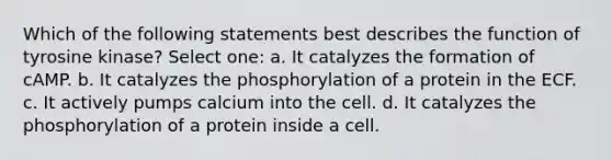 Which of the following statements best describes the function of tyrosine kinase? Select one: a. It catalyzes the formation of cAMP. b. It catalyzes the phosphorylation of a protein in the ECF. c. It actively pumps calcium into the cell. d. It catalyzes the phosphorylation of a protein inside a cell.