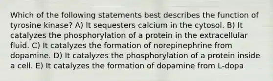 Which of the following statements best describes the function of tyrosine kinase? A) It sequesters calcium in the cytosol. B) It catalyzes the phosphorylation of a protein in the extracellular fluid. C) It catalyzes the formation of norepinephrine from dopamine. D) It catalyzes the phosphorylation of a protein inside a cell. E) It catalyzes the formation of dopamine from L-dopa