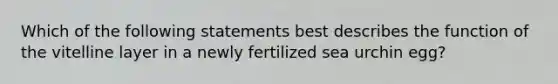 Which of the following statements best describes the function of the vitelline layer in a newly fertilized sea urchin egg?