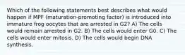 Which of the following statements best describes what would happen if MPF (maturation-promoting factor) is introduced into immature frog oocytes that are arrested in G2? A) The cells would remain arrested in G2. B) The cells would enter G0. C) The cells would enter mitosis. D) The cells would begin DNA synthesis.