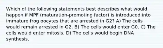 Which of the following statements best describes what would happen if MPF (maturation-promoting factor) is introduced into immature frog oocytes that are arrested in G2? A) The cells would remain arrested in G2. B) The cells would enter G0. C) The cells would enter mitosis. D) The cells would begin DNA synthesis.