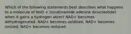 Which of the following statements best describes what happens to a molecule of NAD + (nicotinamide adenine dinucleotide) when it gains a hydrogen atom? NAD+ becomes dehydrogenated. NAD+ becomes oxidized. NAD+ becomes ionized. NAD+ becomes reduced.