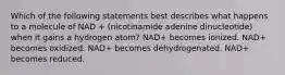 Which of the following statements best describes what happens to a molecule of NAD + (nicotinamide adenine dinucleotide) when it gains a hydrogen atom? NAD+ becomes ionized. NAD+ becomes oxidized. NAD+ becomes dehydrogenated. NAD+ becomes reduced.