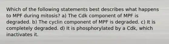 Which of the following statements best describes what happens to MPF during mitosis? a) The Cdk component of MPF is degraded. b) The cyclin component of MPF is degraded. c) It is completely degraded. d) It is phosphorylated by a Cdk, which inactivates it.