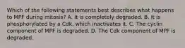 Which of the following statements best describes what happens to MPF during mitosis? A. It is completely degraded. B. It is phosphorylated by a Cdk, which inactivates it. C. The cyclin component of MPF is degraded. D. The Cdk component of MPF is degraded.