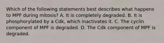 Which of the following statements best describes what happens to MPF during mitosis? A. It is completely degraded. B. It is phosphorylated by a Cdk, which inactivates it. C. The cyclin component of MPF is degraded. D. The Cdk component of MPF is degraded.