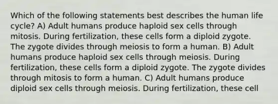 Which of the following statements best describes the human life cycle? A) Adult humans produce haploid sex cells through mitosis. During fertilization, these cells form a diploid zygote. The zygote divides through meiosis to form a human. B) Adult humans produce haploid sex cells through meiosis. During fertilization, these cells form a diploid zygote. The zygote divides through mitosis to form a human. C) Adult humans produce diploid sex cells through meiosis. During fertilization, these cell