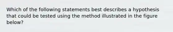 Which of the following statements best describes a hypothesis that could be tested using the method illustrated in the figure below?