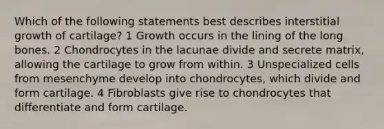 Which of the following statements best describes interstitial growth of cartilage? 1 Growth occurs in the lining of the long bones. 2 Chondrocytes in the lacunae divide and secrete matrix, allowing the cartilage to grow from within. 3 Unspecialized cells from mesenchyme develop into chondrocytes, which divide and form cartilage. 4 Fibroblasts give rise to chondrocytes that differentiate and form cartilage.