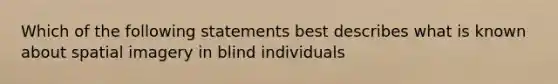 Which of the following statements best describes what is known about spatial imagery in blind individuals