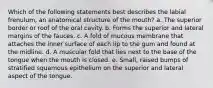 Which of the following statements best describes the labial frenulum, an anatomical structure of the mouth? a. The superior border or roof of the oral cavity. b. Forms the superior and lateral margins of the fauces. c. A fold of mucous membrane that attaches the inner surface of each lip to the gum and found at the midline. d. A muscular fold that lies next to the base of the tongue when the mouth is closed. e. Small, raised bumps of stratified squamous epithelium on the superior and lateral aspect of the tongue.