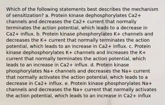 Which of the following statements best describes the mechanism of sensitization? a. Protein kinase dephosphorylates Ca2+ channels and decreases the Ca2+ current that normally terminates the action potential, which leads to a decrease in Ca2+ influx. b. Protein kinase phosphorylates K+ channels and decreases the K+ current that normally terminates the action potential, which leads to an increase in Ca2+ influx. c. Protein kinase dephosphorylates K+ channels and increases the K+ current that normally terminates the action potential, which leads to an increase in Ca2+ influx. d. Protein kinase phosphorylates Na+ channels and decreases the Na+ current that normally activates the action potential, which leads to a decrease in Ca2+ influx. e. Protein kinase phosphorylates Na+ channels and decreases the Na+ current that normally activates the action potential, which leads to an increase in Ca2+ influx