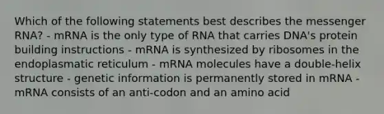 Which of the following statements best describes the messenger RNA? - mRNA is the only type of RNA that carries DNA's protein building instructions - mRNA is synthesized by ribosomes in the endoplasmatic reticulum - mRNA molecules have a double-helix structure - genetic information is permanently stored in mRNA - mRNA consists of an anti-codon and an amino acid