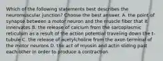 Which of the following statements best describes the neuromuscular junction? Choose the best answer. A. the point of synapse between a motor neuron and the muscle fiber that it innervates B. the release of calcium from the sarcoplasmic reticulum as a result of the action potential traveling down the t-tubule C. the release of acetylcholine from the axon terminal of the motor neurons D. the act of myosin and actin sliding past each other in order to produce a contraction