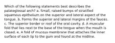 Which of the following statements best describes the palatoglossal arch? a. Small, raised bumps of stratified squamous epithelium on the superior and lateral aspect of the tongue. b. Forms the superior and lateral margins of the fauces. c. The superior border or roof of the oral cavity. d. A muscular fold that lies next to the base of the tongue when the mouth is closed. e. A fold of mucous membrane that attaches the inner surface of each lip to the gum and found at the midline.