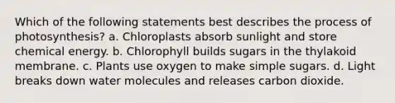 Which of the following statements best describes the <a href='https://www.questionai.com/knowledge/kZdL6DGYI4-process-of-photosynthesis' class='anchor-knowledge'>process of photosynthesis</a>? a. Chloroplasts absorb sunlight and store <a href='https://www.questionai.com/knowledge/ku7RjqevWh-chemical-energy' class='anchor-knowledge'>chemical energy</a>. b. Chlorophyll builds sugars in the thylakoid membrane. c. Plants use oxygen to make simple sugars. d. Light breaks down <a href='https://www.questionai.com/knowledge/kTK3J5aMdd-water-molecules' class='anchor-knowledge'>water molecules</a> and releases carbon dioxide.