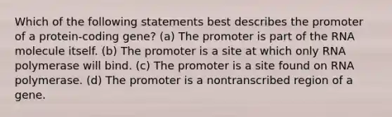 Which of the following statements best describes the promoter of a protein-coding gene? (a) The promoter is part of the RNA molecule itself. (b) The promoter is a site at which only RNA polymerase will bind. (c) The promoter is a site found on RNA polymerase. (d) The promoter is a nontranscribed region of a gene.