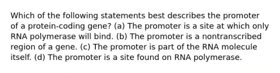 Which of the following statements best describes the promoter of a protein-coding gene? (a) The promoter is a site at which only RNA polymerase will bind. (b) The promoter is a nontranscribed region of a gene. (c) The promoter is part of the RNA molecule itself. (d) The promoter is a site found on RNA polymerase.