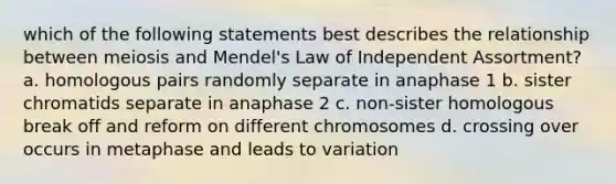 which of the following statements best describes the relationship between meiosis and Mendel's Law of Independent Assortment? a. homologous pairs randomly separate in anaphase 1 b. sister chromatids separate in anaphase 2 c. non-sister homologous break off and reform on different chromosomes d. crossing over occurs in metaphase and leads to variation