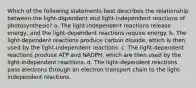 Which of the following statements best describes the relationship between the light-dependent and light-independent reactions of photosynthesis? a. The light-independent reactions release energy, and the light-dependent reactions require energy. b. The light-dependent reactions produce carbon dioxide, which is then used by the light-independent reactions. c. The light-dependent reactions produce ATP and NADPH, which are then used by the light-independent reactions. d. The light-dependent reactions pass electrons through an electron transport chain to the light-independent reactions.