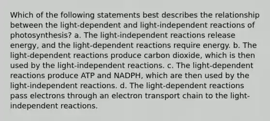 Which of the following statements best describes the relationship between the light-dependent and light-independent reactions of photosynthesis? a. The light-independent reactions release energy, and the light-dependent reactions require energy. b. The light-dependent reactions produce carbon dioxide, which is then used by the light-independent reactions. c. The light-dependent reactions produce ATP and NADPH, which are then used by the light-independent reactions. d. The light-dependent reactions pass electrons through an electron transport chain to the light-independent reactions.