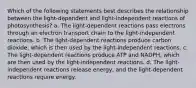 Which of the following statements best describes the relationship between the light-dependent and light-independent reactions of photosynthesis? a. The light-dependent reactions pass electrons through an electron transport chain to the light-independent reactions. b. The light-dependent reactions produce carbon dioxide, which is then used by the light-independent reactions. c. The light-dependent reactions produce ATP and NADPH, which are then used by the light-independent reactions. d. The light-independent reactions release energy, and the light-dependent reactions require energy.