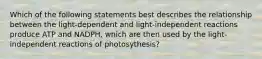 Which of the following statements best describes the relationship between the light-dependent and light-independent reactions produce ATP and NADPH, which are then used by the light-independent reactions of photosythesis?