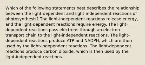 Which of the following statements best describes the relationship between the light-dependent and light-independent reactions of photosynthesis? The light-independent reactions release energy, and the light-dependent reactions require energy. The light-dependent reactions pass electrons through an electron transport chain to the light-independent reactions. The light-dependent reactions produce ATP and NADPH, which are then used by the light-independent reactions. The light-dependent reactions produce carbon dioxide, which is then used by the light-independent reactions.