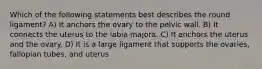 Which of the following statements best describes the round ligament? A) It anchors the ovary to the pelvic wall. B) It connects the uterus to the labia majora. C) It anchors the uterus and the ovary. D) It is a large ligament that supports the ovaries, fallopian tubes, and uterus