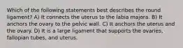 Which of the following statements best describes the round ligament? A) It connects the uterus to the labia majora. B) It anchors the ovary to the pelvic wall. C) It anchors the uterus and the ovary. D) It is a large ligament that supports the ovaries, fallopian tubes, and uterus.