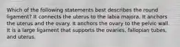 Which of the following statements best describes the round ligament? It connects the uterus to the labia majora. It anchors the uterus and the ovary. It anchors the ovary to the pelvic wall. It is a large ligament that supports the ovaries, fallopian tubes, and uterus.