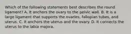 Which of the following statements best describes the round ligament? A. It anchors the ovary to the pelvic wall. B. It is a large ligament that supports the ovaries, fallopian tubes, and uterus. C. It anchors the uterus and the ovary. D. It connects the uterus to the labia majora.