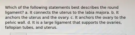 Which of the following statements best describes the round ligament? a. It connects the uterus to the labia majora. b. It anchors the uterus and the ovary. c. It anchors the ovary to the pelvic wall. d. It is a large ligament that supports the ovaries, fallopian tubes, and uterus.