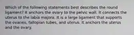 Which of the following statements best describes the round ligament? It anchors the ovary to the pelvic wall. It connects the uterus to the labia majora. It is a large ligament that supports the ovaries, fallopian tubes, and uterus. It anchors the uterus and the ovary.