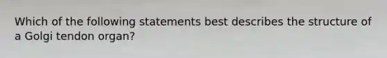 Which of the following statements best describes the structure of a Golgi tendon organ?