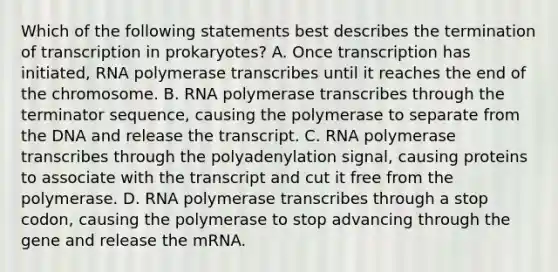 Which of the following statements best describes the termination of transcription in prokaryotes? A. Once transcription has initiated, RNA polymerase transcribes until it reaches the end of the chromosome. B. RNA polymerase transcribes through the terminator sequence, causing the polymerase to separate from the DNA and release the transcript. C. RNA polymerase transcribes through the polyadenylation signal, causing proteins to associate with the transcript and cut it free from the polymerase. D. RNA polymerase transcribes through a stop codon, causing the polymerase to stop advancing through the gene and release the mRNA.