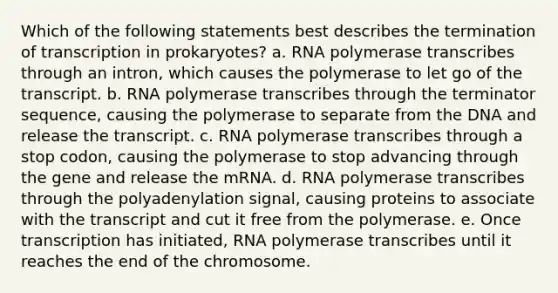 Which of the following statements best describes the termination of transcription in prokaryotes? a. RNA polymerase transcribes through an intron, which causes the polymerase to let go of the transcript. b. RNA polymerase transcribes through the terminator sequence, causing the polymerase to separate from the DNA and release the transcript. c. RNA polymerase transcribes through a stop codon, causing the polymerase to stop advancing through the gene and release the mRNA. d. RNA polymerase transcribes through the polyadenylation signal, causing proteins to associate with the transcript and cut it free from the polymerase. e. Once transcription has initiated, RNA polymerase transcribes until it reaches the end of the chromosome.