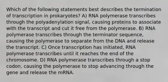 Which of the following statements best describes the termination of <a href='https://www.questionai.com/knowledge/krSNCrF0wC-transcription-in-prokaryotes' class='anchor-knowledge'>transcription in prokaryotes</a>? A) RNA polymerase transcribes through the polyadenylation signal, causing proteins to associate with the transcript and cut it free from the polymerase. B) RNA polymerase transcribes through the terminator sequence, causing the polymerase to separate from the DNA and release the transcript. C) Once transcription has initiated, RNA polymerase transcribes until it reaches the end of the chromosome. D) RNA polymerase transcribes through a stop codon, causing the polymerase to stop advancing through the gene and release the mRNA.