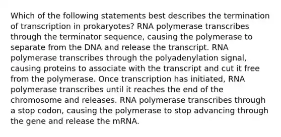 Which of the following statements best describes the termination of transcription in prokaryotes? RNA polymerase transcribes through the terminator sequence, causing the polymerase to separate from the DNA and release the transcript. RNA polymerase transcribes through the polyadenylation signal, causing proteins to associate with the transcript and cut it free from the polymerase. Once transcription has initiated, RNA polymerase transcribes until it reaches the end of the chromosome and releases. RNA polymerase transcribes through a stop codon, causing the polymerase to stop advancing through the gene and release the mRNA.