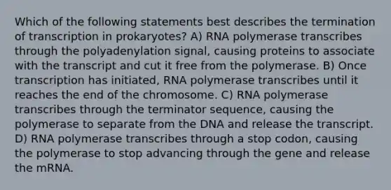 Which of the following statements best describes the termination of transcription in prokaryotes? A) RNA polymerase transcribes through the polyadenylation signal, causing proteins to associate with the transcript and cut it free from the polymerase. B) Once transcription has initiated, RNA polymerase transcribes until it reaches the end of the chromosome. C) RNA polymerase transcribes through the terminator sequence, causing the polymerase to separate from the DNA and release the transcript. D) RNA polymerase transcribes through a stop codon, causing the polymerase to stop advancing through the gene and release the mRNA.