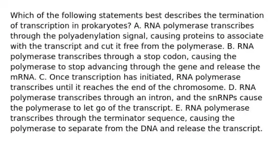 Which of the following statements best describes the termination of transcription in prokaryotes? A. RNA polymerase transcribes through the polyadenylation signal, causing proteins to associate with the transcript and cut it free from the polymerase. B. RNA polymerase transcribes through a stop codon, causing the polymerase to stop advancing through the gene and release the mRNA. C. Once transcription has initiated, RNA polymerase transcribes until it reaches the end of the chromosome. D. RNA polymerase transcribes through an intron, and the snRNPs cause the polymerase to let go of the transcript. E. RNA polymerase transcribes through the terminator sequence, causing the polymerase to separate from the DNA and release the transcript.