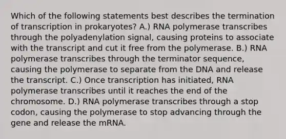 Which of the following statements best describes the termination of transcription in prokaryotes? A.) RNA polymerase transcribes through the polyadenylation signal, causing proteins to associate with the transcript and cut it free from the polymerase. B.) RNA polymerase transcribes through the terminator sequence, causing the polymerase to separate from the DNA and release the transcript. C.) Once transcription has initiated, RNA polymerase transcribes until it reaches the end of the chromosome. D.) RNA polymerase transcribes through a stop codon, causing the polymerase to stop advancing through the gene and release the mRNA.