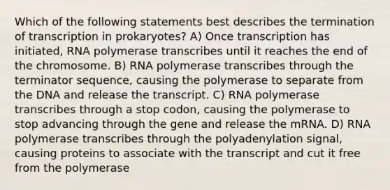 Which of the following statements best describes the termination of <a href='https://www.questionai.com/knowledge/krSNCrF0wC-transcription-in-prokaryotes' class='anchor-knowledge'>transcription in prokaryotes</a>? A) Once transcription has initiated, RNA polymerase transcribes until it reaches the end of the chromosome. B) RNA polymerase transcribes through the terminator sequence, causing the polymerase to separate from the DNA and release the transcript. C) RNA polymerase transcribes through a stop codon, causing the polymerase to stop advancing through the gene and release the mRNA. D) RNA polymerase transcribes through the polyadenylation signal, causing proteins to associate with the transcript and cut it free from the polymerase