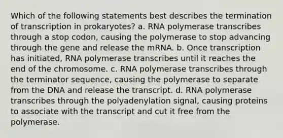 Which of the following statements best describes the termination of transcription in prokaryotes? a. RNA polymerase transcribes through a stop codon, causing the polymerase to stop advancing through the gene and release the mRNA. b. Once transcription has initiated, RNA polymerase transcribes until it reaches the end of the chromosome. c. RNA polymerase transcribes through the terminator sequence, causing the polymerase to separate from the DNA and release the transcript. d. RNA polymerase transcribes through the polyadenylation signal, causing proteins to associate with the transcript and cut it free from the polymerase.